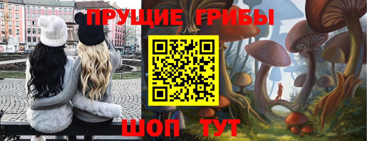 Сертолово  Псилоцибиновые грибы прущие грибы  Вход с VPN 
